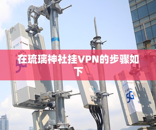 在琉璃神社挂VPN的步骤如下