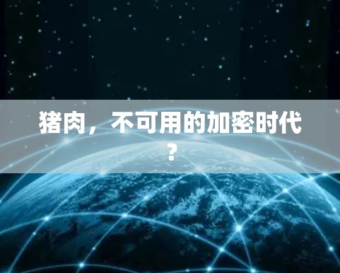 猪肉，不可用的加密时代？