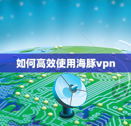 如何高效使用海豚vpn