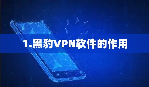 1.黑豹VPN软件的作用
