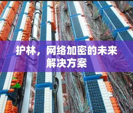 护林，网络加密的未来解决方案