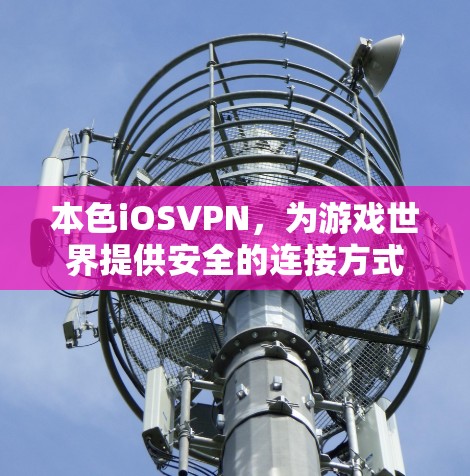 本色iOSVPN,为游戏世界提供安全的连接方式 本色iOSVPN,为游戏世界提供安全的连接方式