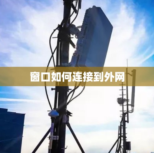 窗口如何连接到外网