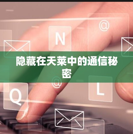 隐藏在天莱中的通信秘密
