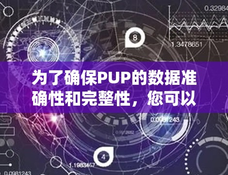 为了确保PUP的数据准确性和完整性，您可以按照以下步骤进行系统检查