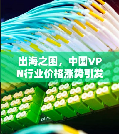 出海之困,中国VPN行业价格涨势引发用户担忧 出海之困,中国VPN行业价格涨势引发用户担忧