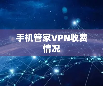 手机管家VPN收费情况
