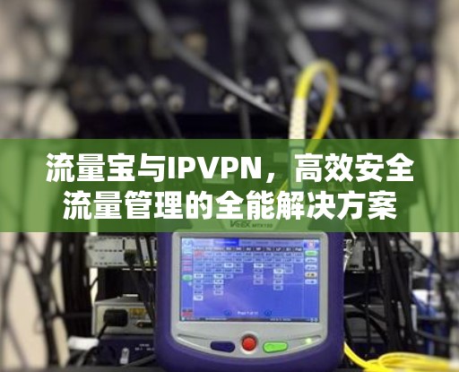 流量宝与IPVPN,高效安全流量管理的全能解决方案 流量宝与IPVPN,高效安全流量管理的全能解决方案
