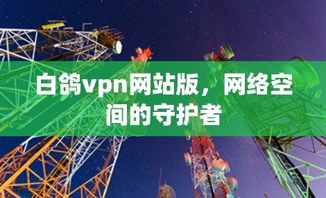 白鸽vpn网站版，网络空间的守护者