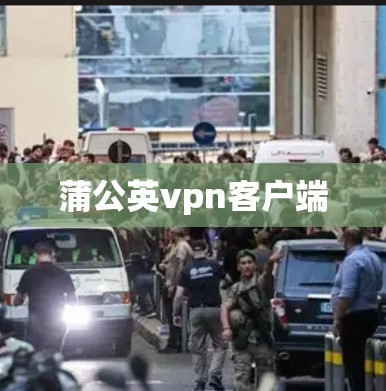 蒲公英vpn客户端