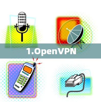 1.OpenVPN 1.OpenVPN