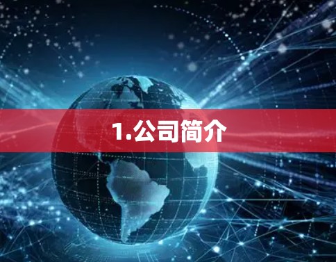 1.公司简介 1.公司简介