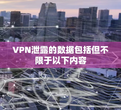 VPN泄露的数据包括但不限于以下内容