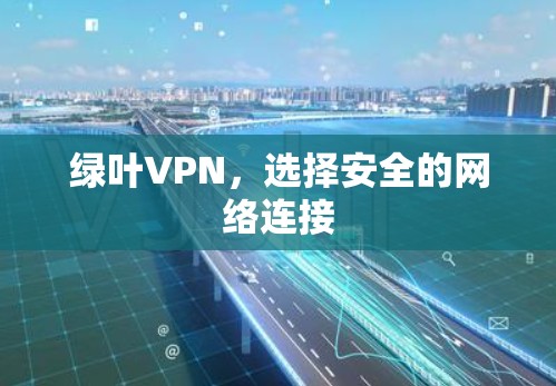 绿叶VPN，选择安全的网络连接