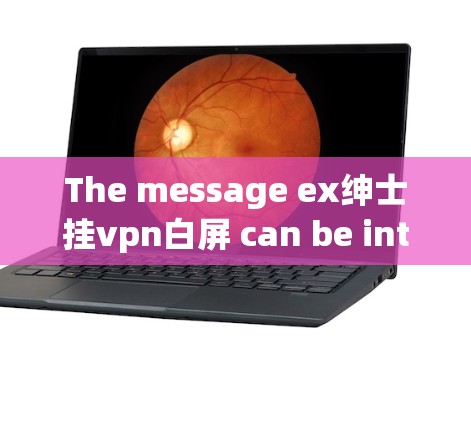 The message ex绅士挂vpn白屏 can be interpreted as follows: