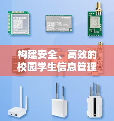 构建安全、高效的校园学生信息管理系统，基于VPN的技术与实践