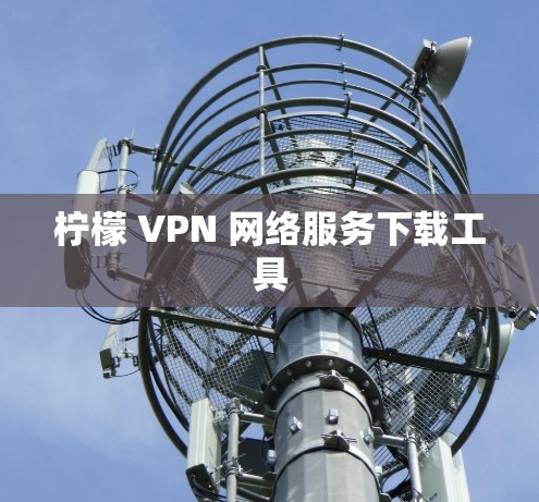柠檬 VPN 网络服务下载工具