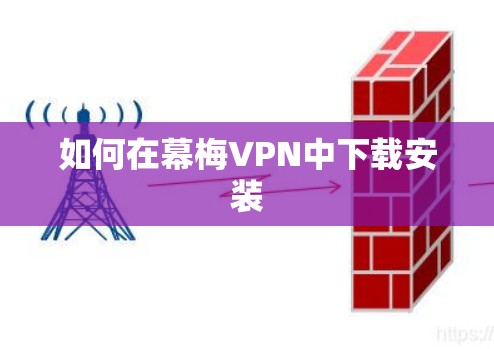 如何在幕梅VPN中下载安装