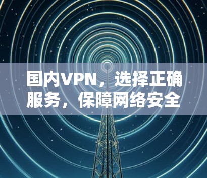 国内VPN，选择正确服务，保障网络安全