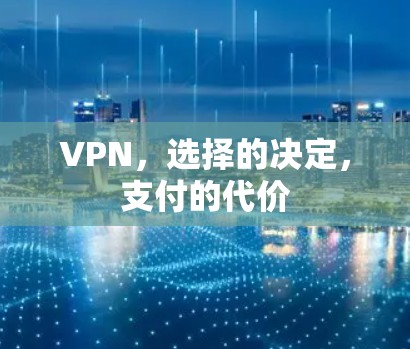 VPN，选择的决定，支付的代价