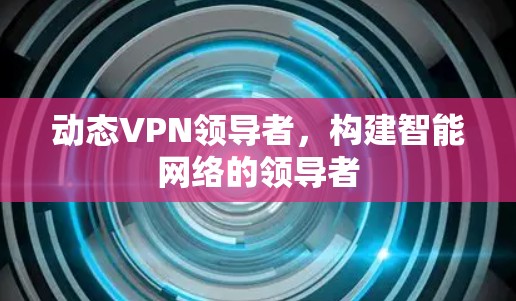 动态VPN领导者，构建智能网络的领导者