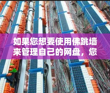 如果您想要使用佛跳墙来管理自己的网盘，您可以按照以下步骤进行