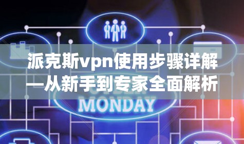 派克斯vpn使用步骤详解—从新手到专家全面解析