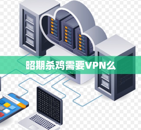 昭期杀鸡需要VPN么