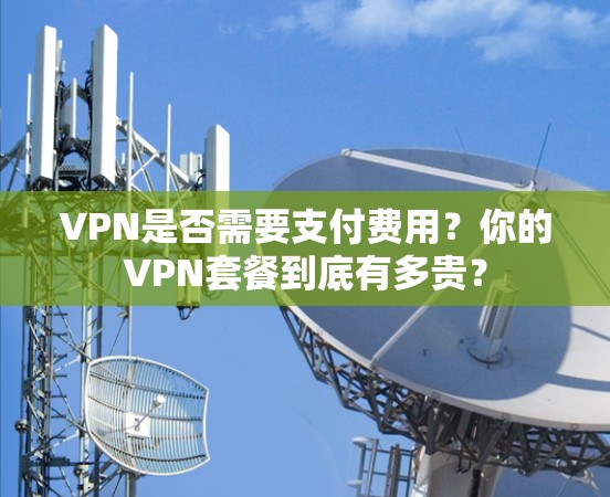VPN是否需要支付费用?你的VPN套餐到底有多贵? VPN是否需要支付费用?你的VPN套餐到底有多贵?