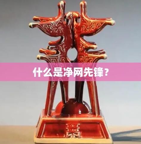什么是净网先锋？