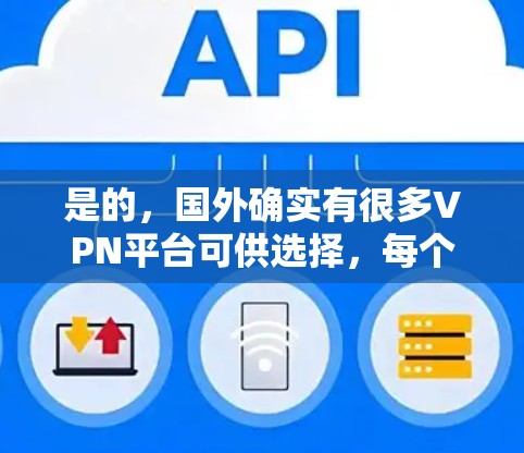 是的，国外确实有很多VPN平台可供选择，每个平台都有其特点和限制条件，因此需要根据个人需求和所在地区选择合适的VPN服务。以下是一些主要的国外VPN平台及其特点