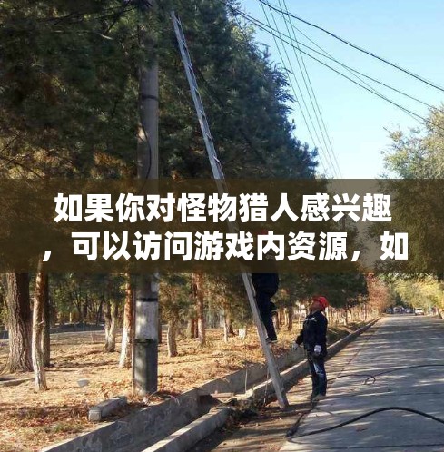 如果你对怪物猎人感兴趣，可以访问游戏内资源，如提示音和视频脚本。这些资源通常在游戏内，不需要VPN访问。你可以通过游戏内资源获取一些额外的体验或内容