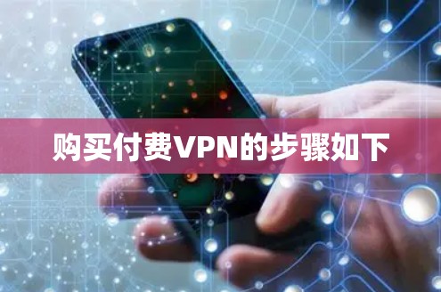 购买付费VPN的步骤如下