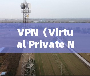 VPN（Virtual Private Network，虚拟网络）客户端是用户访问VPN服务的客户端，类似于手机或电脑上的VPN应用程序。以下是关于VPN新用户客户端的详细介绍