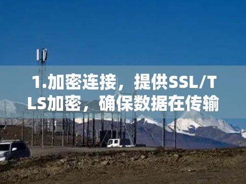 1.加密连接，提供SSL/TLS加密，确保数据在传输前已被加密，即使服务器被截获，数据也不会被截获