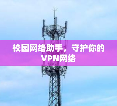 校园网络助手，守护你的VPN网络