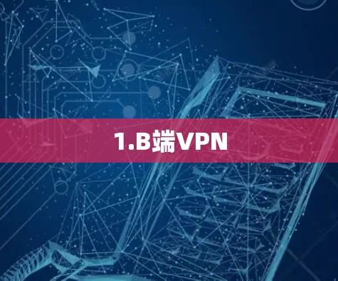 1.B端VPN