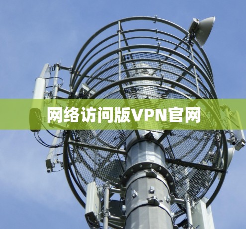 网络访问版VPN官网
