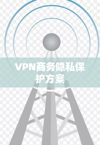 VPN商务隐私保护方案