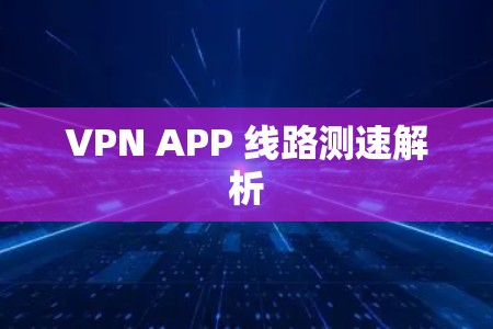 VPN APP 线路测速解析