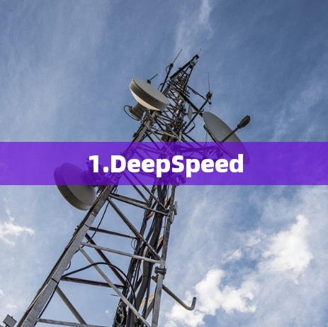 1.DeepSpeed