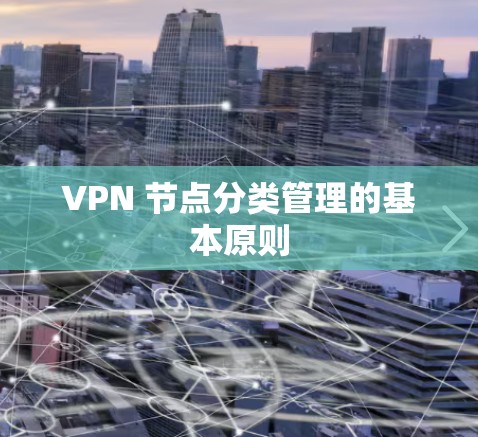 VPN 节点分类管理的基本原则