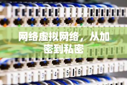 网络虚拟网络，从加密到私密
