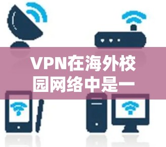 VPN在海外校园网络中是一个非常重要的工具，用于连接学校的网络服务。以下是一些常见的VPN应用及其使用方法