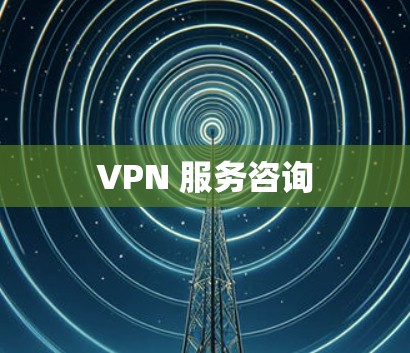 VPN 服务咨询