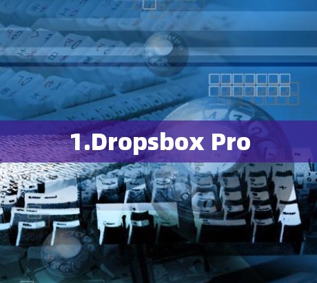 1.Dropsbox Pro 1.Dropsbox Pro