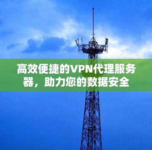 高效便捷的VPN代理服务器，助力您的数据安全