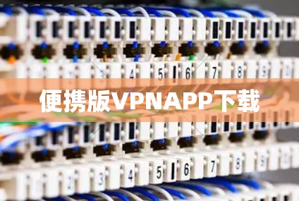 便携版VPNAPP下载