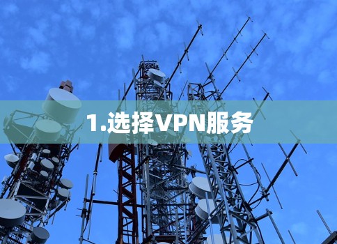 1.选择VPN服务