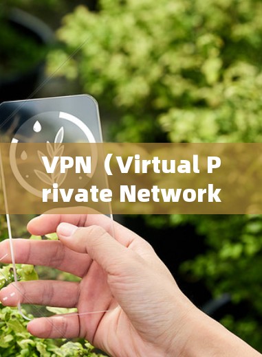 VPN（Virtual Private Network，虚拟网络）是一种通过网络技术让用户访问不被允许的网站，提供安全的网络访问体验。以下是使用VPN客户端的步骤和考虑因素
